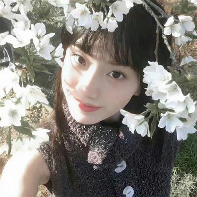 蜂群第一季
